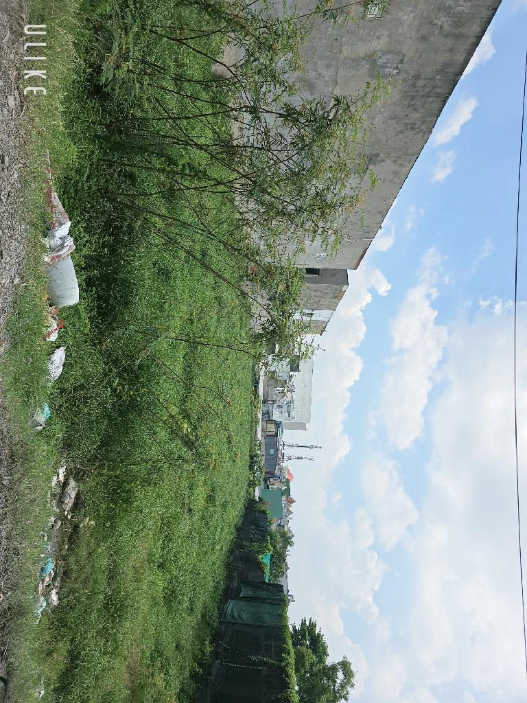 Cơ Hội Sở Hữu  1500m2 Đất - Phan Văn Hớn - Xuân Thới Thượng  Hóc Môn Chỉ 25 Tỷ - Ảnh chính